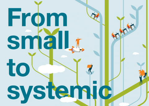 From Small to Systemic report cover page