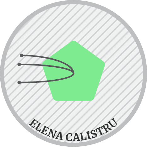 Elena Calistru Top innovator in civic engagement in Romania - 3 nominations