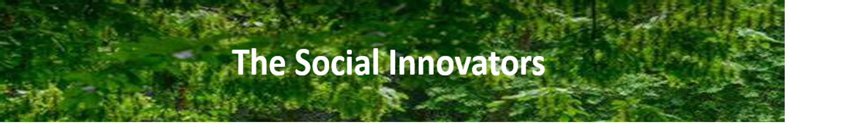 Social Innovator Banner