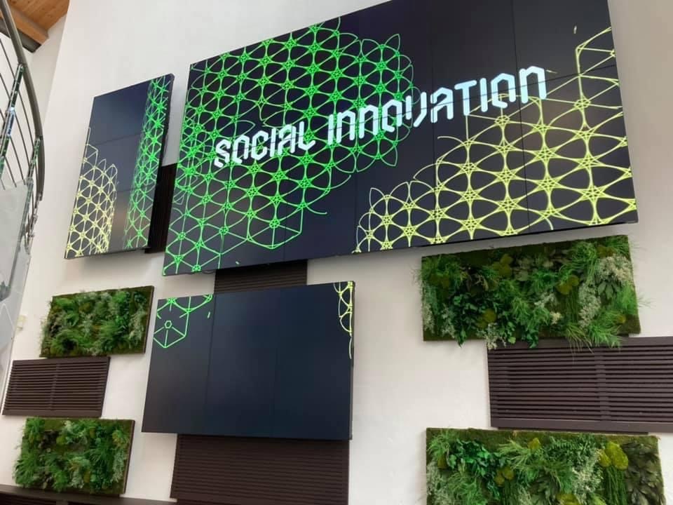 Zdjęcie przedstawia duży ekran z białym napisem "social innovation" na czarnym tle z zielonymi geometrycznymi wzorami. Ekran wisi na białej ścianie, w której są półki z roślinnością.