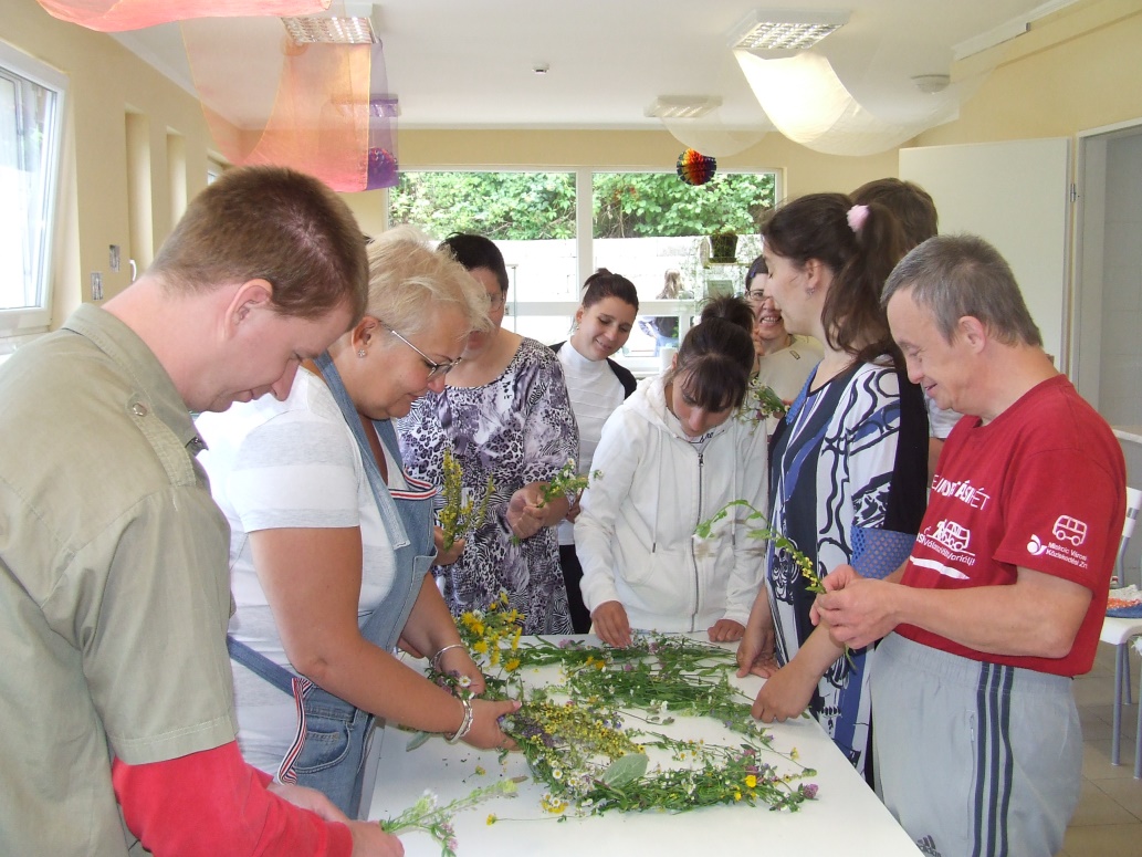plants course szimbiozis.jpg