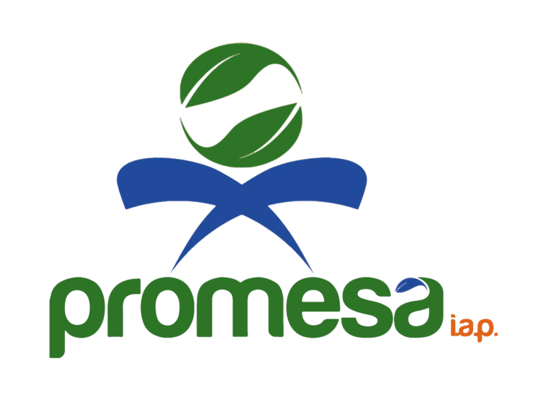 Grupo promesa