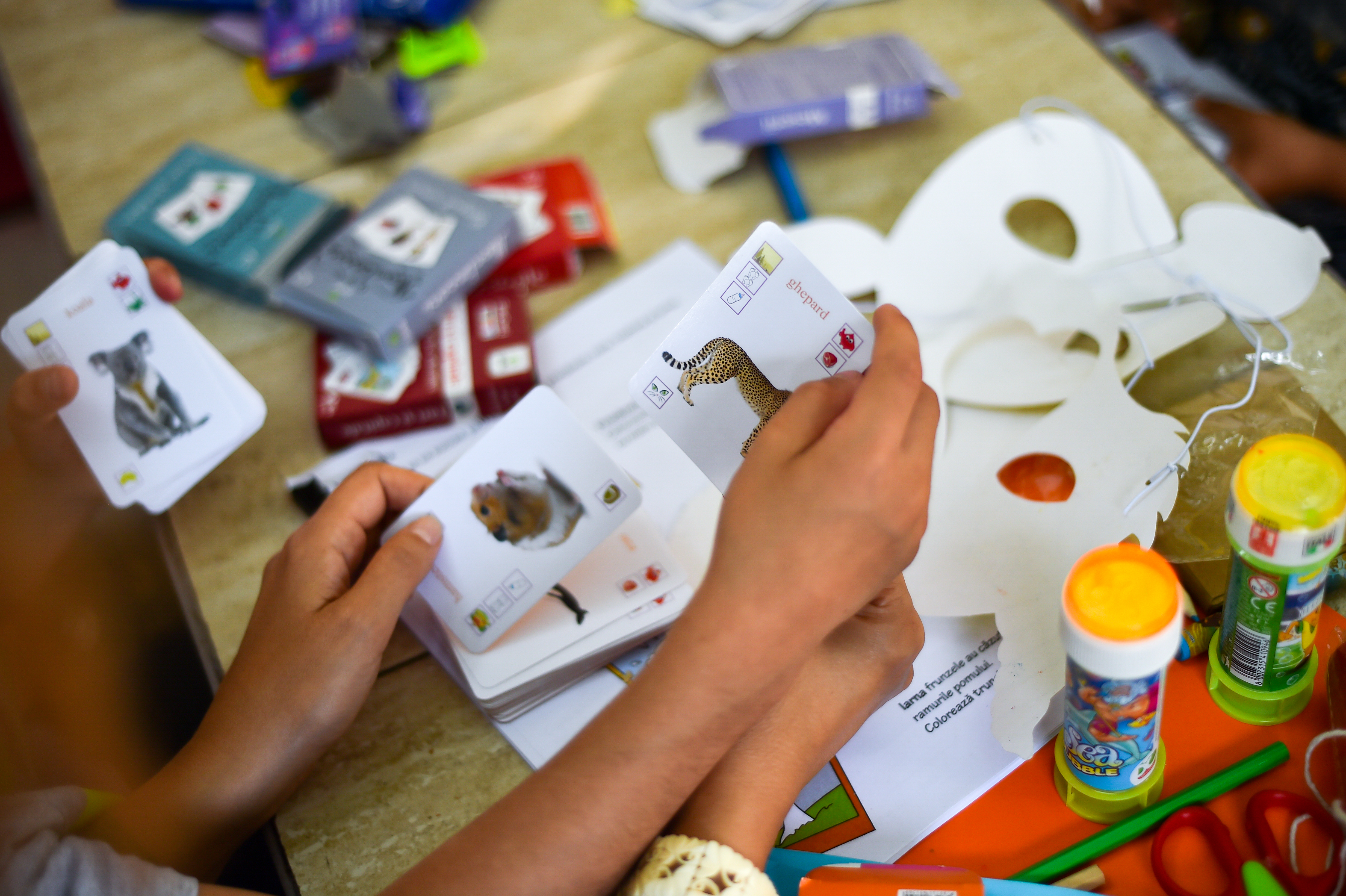 Iarina Taban – Iarina’s Ajungem Mari connects community members to institutionalized young people to provide them with the necessary support, care, and education that they need.