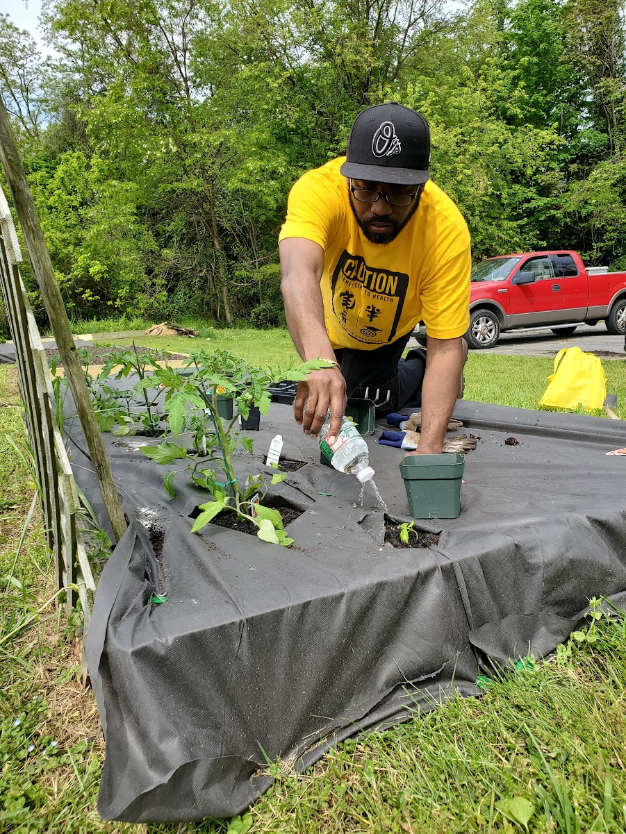 The Black Church Food Security Network