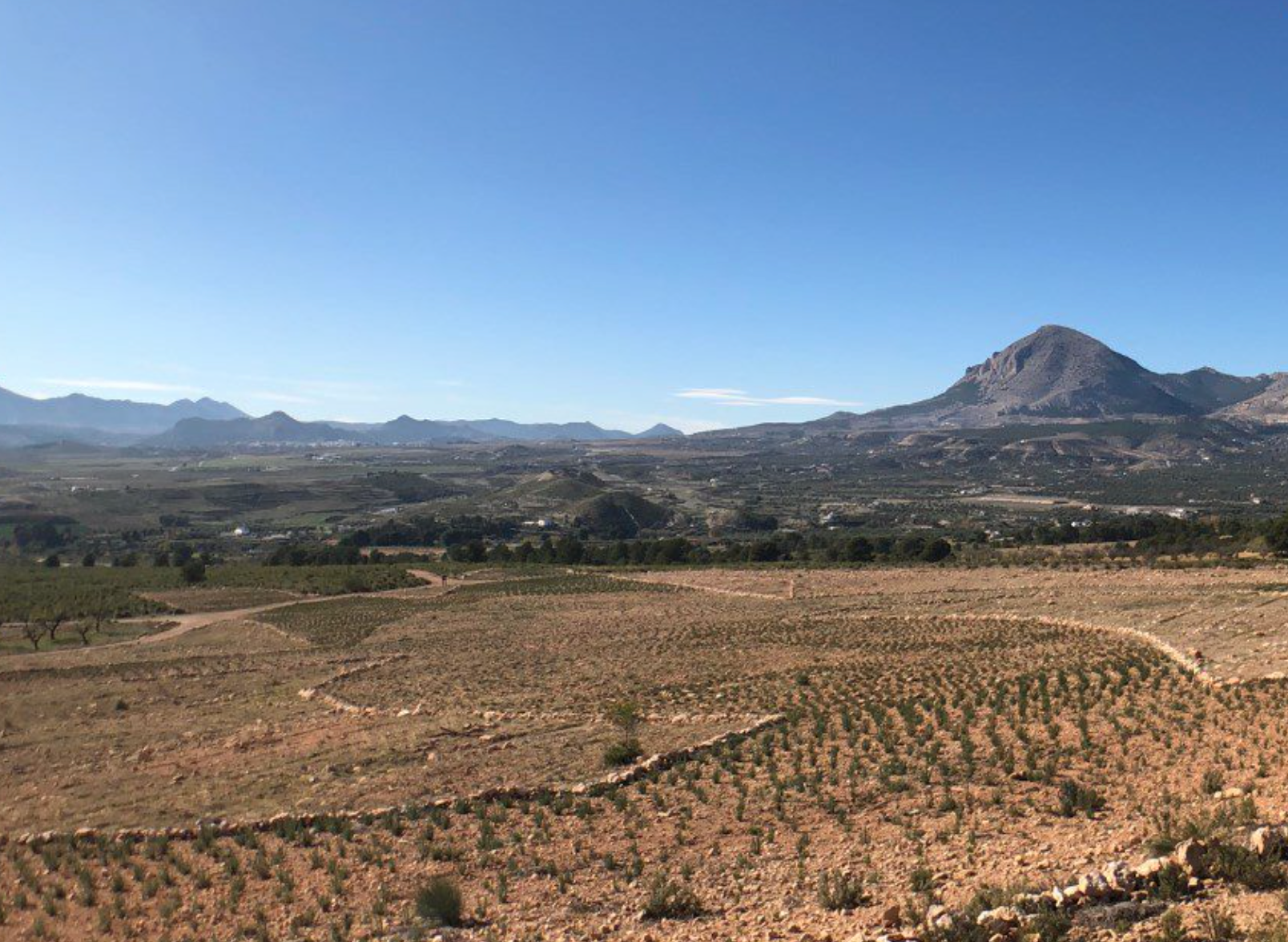 Altiplano Estepario bioregion, Spain