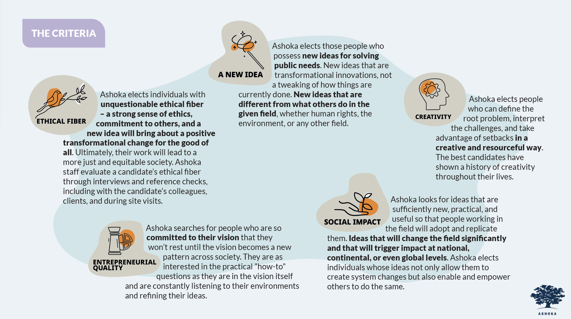 The Venture Process