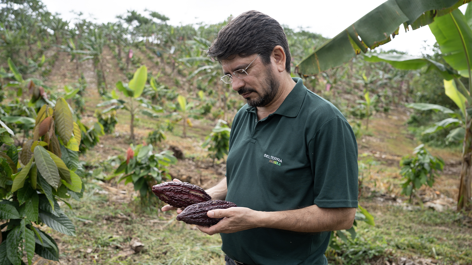 Valmir Cocoa