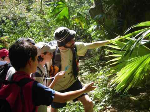 Nature based education with youth in a forest