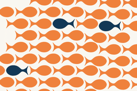 Graphic of a school of fish. A school of orange fish swimming right, with a few dark blue fish within the school swimming to the left (in the opposite direction of the orange fish)