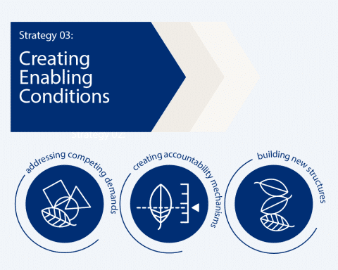 Creating enabling conditions