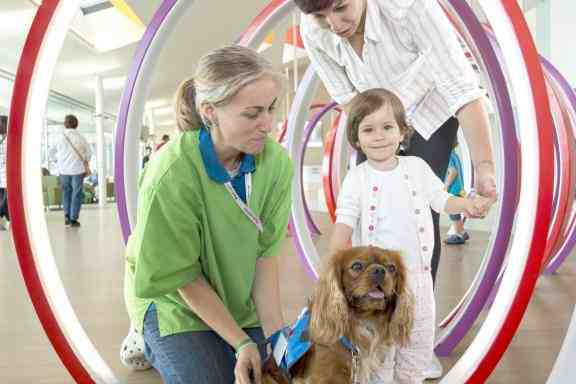 Animal Therapy at the Hospital Sant Joan de Deu