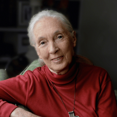 Jane Goodall