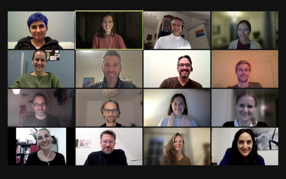 group photo of conference call from funding systems change, 20 small rectangles with people's photos