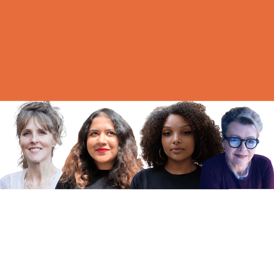 ashoka fellows