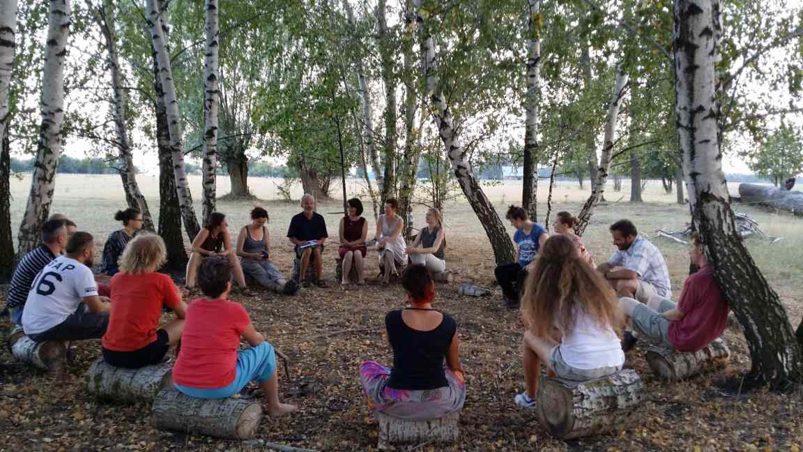 A group of people sitting in a large circle on a ground outside amont birch trees