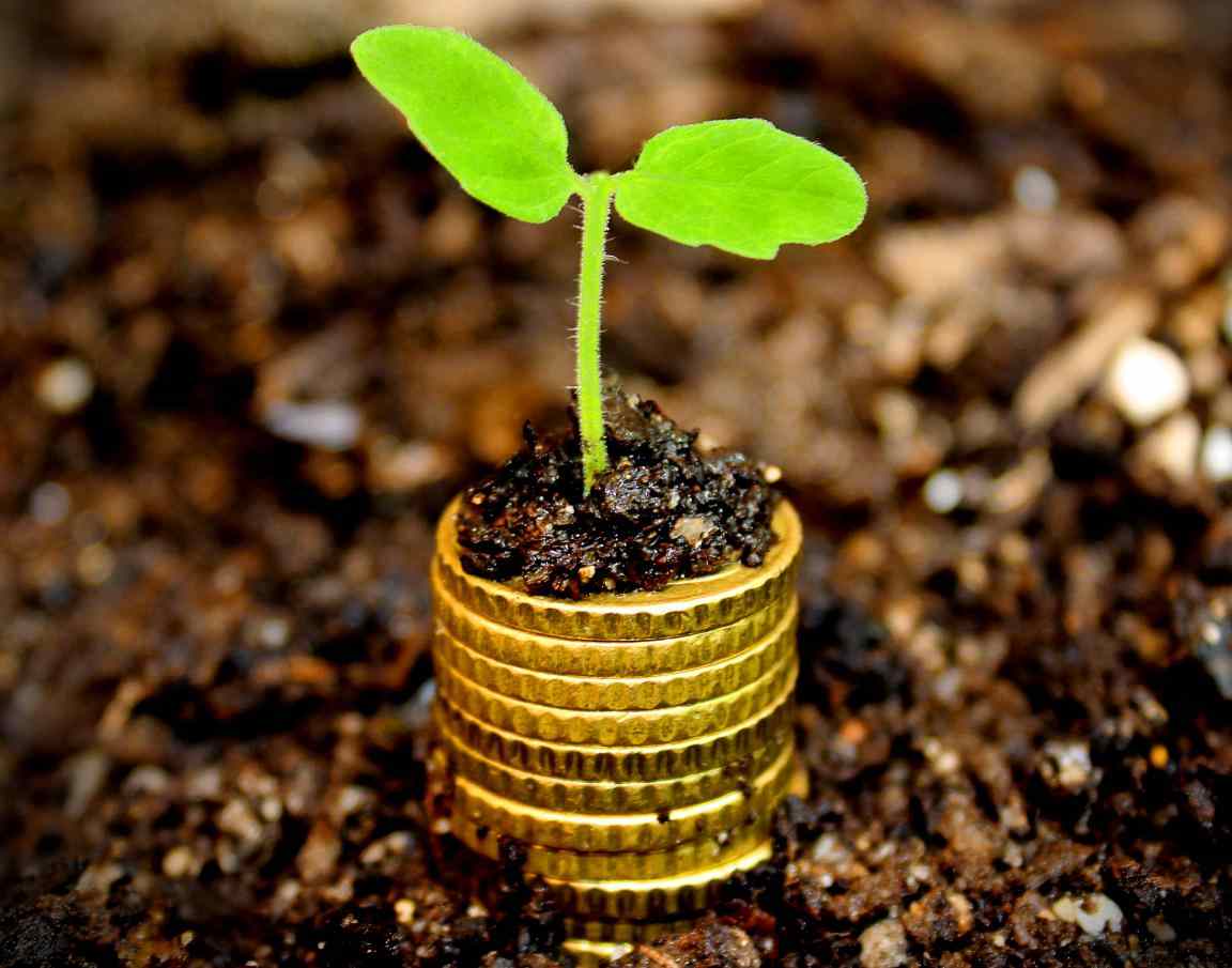Social investment
