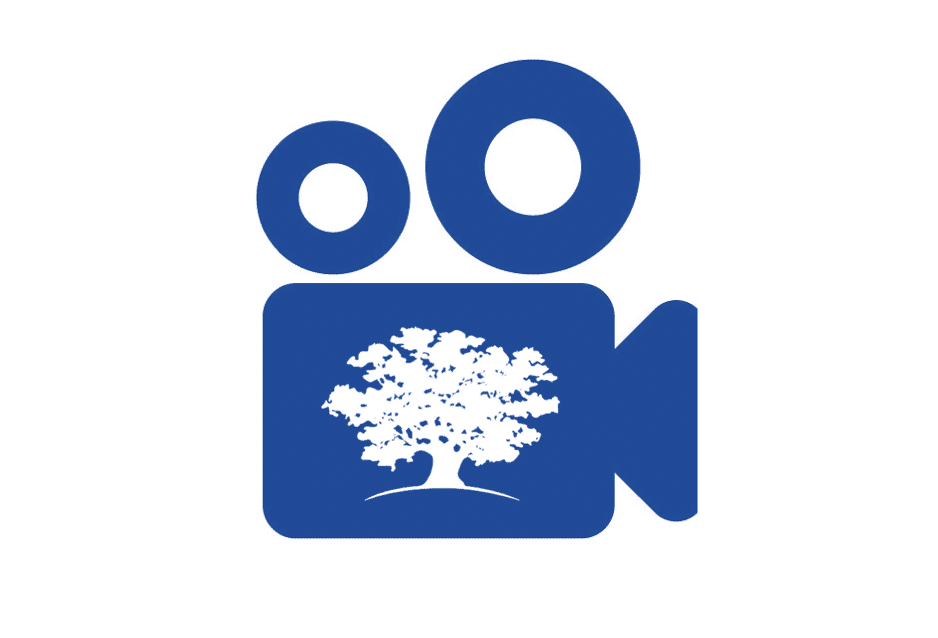video icon