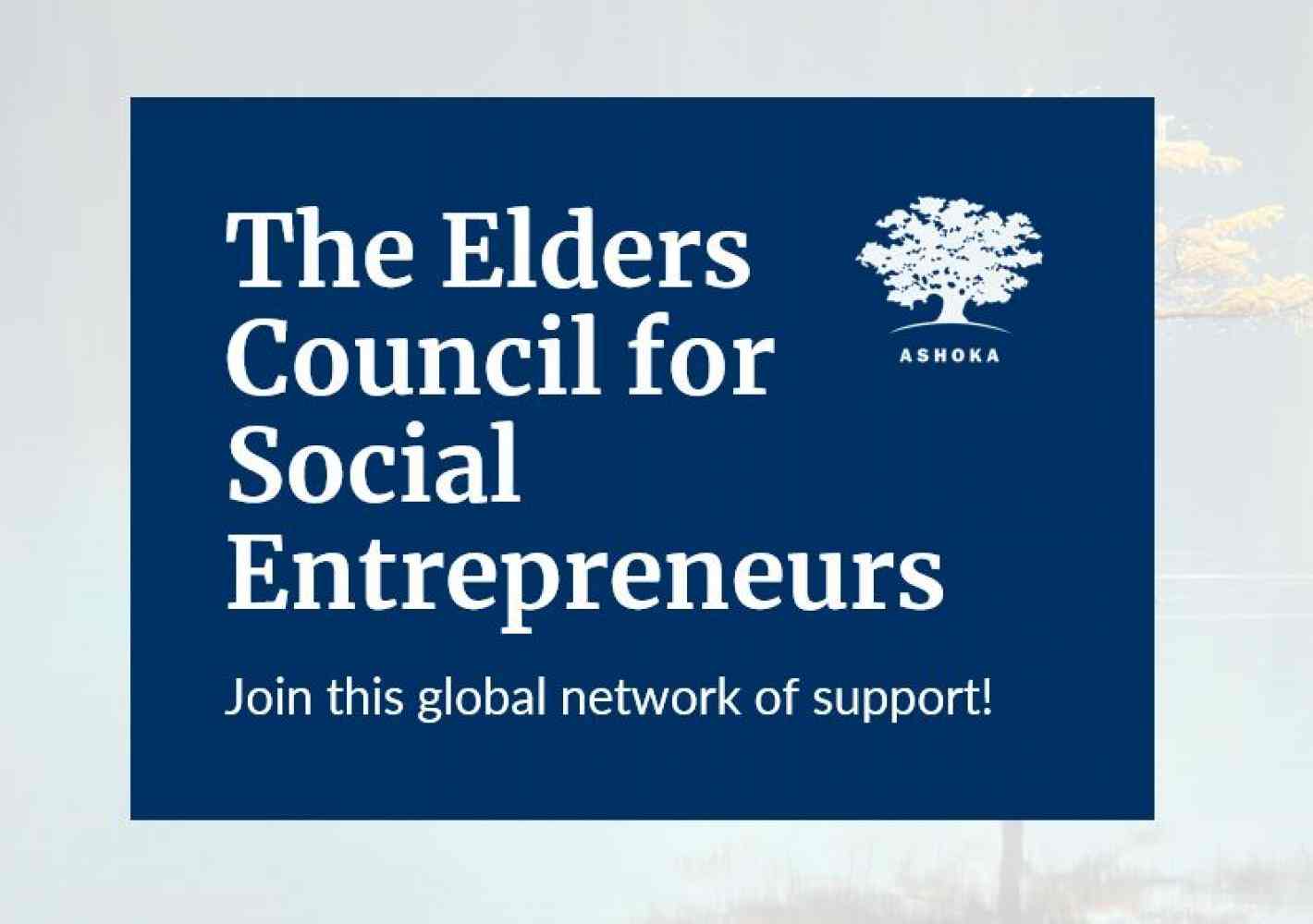 Webinar Who Are You If Not Your Organisation Ashoka Everyone A