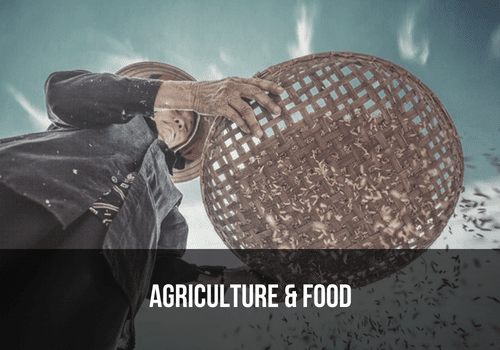 Agriculture and Food