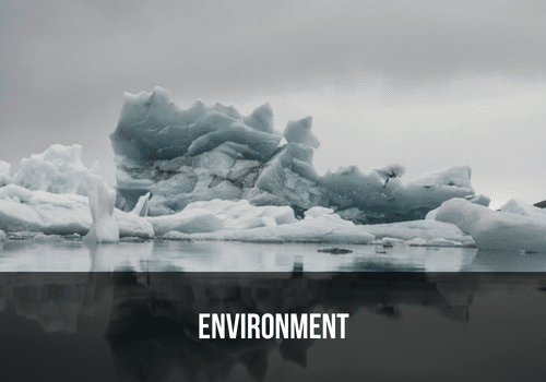 Environment
