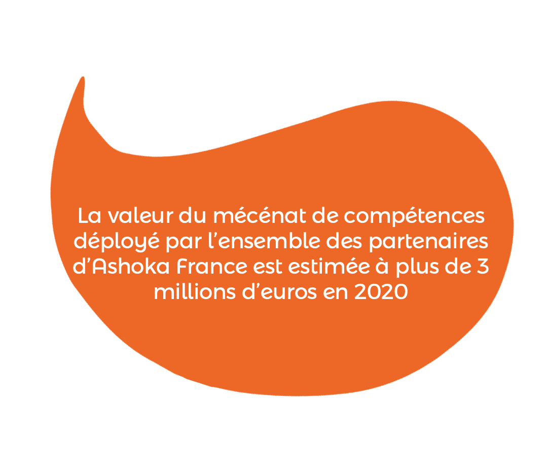 Mécénat compétences