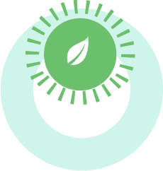 visualizar icono