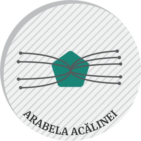 Arabela Acălinei top innovator in Romania in health - 4 nominations, 5 people nominated further