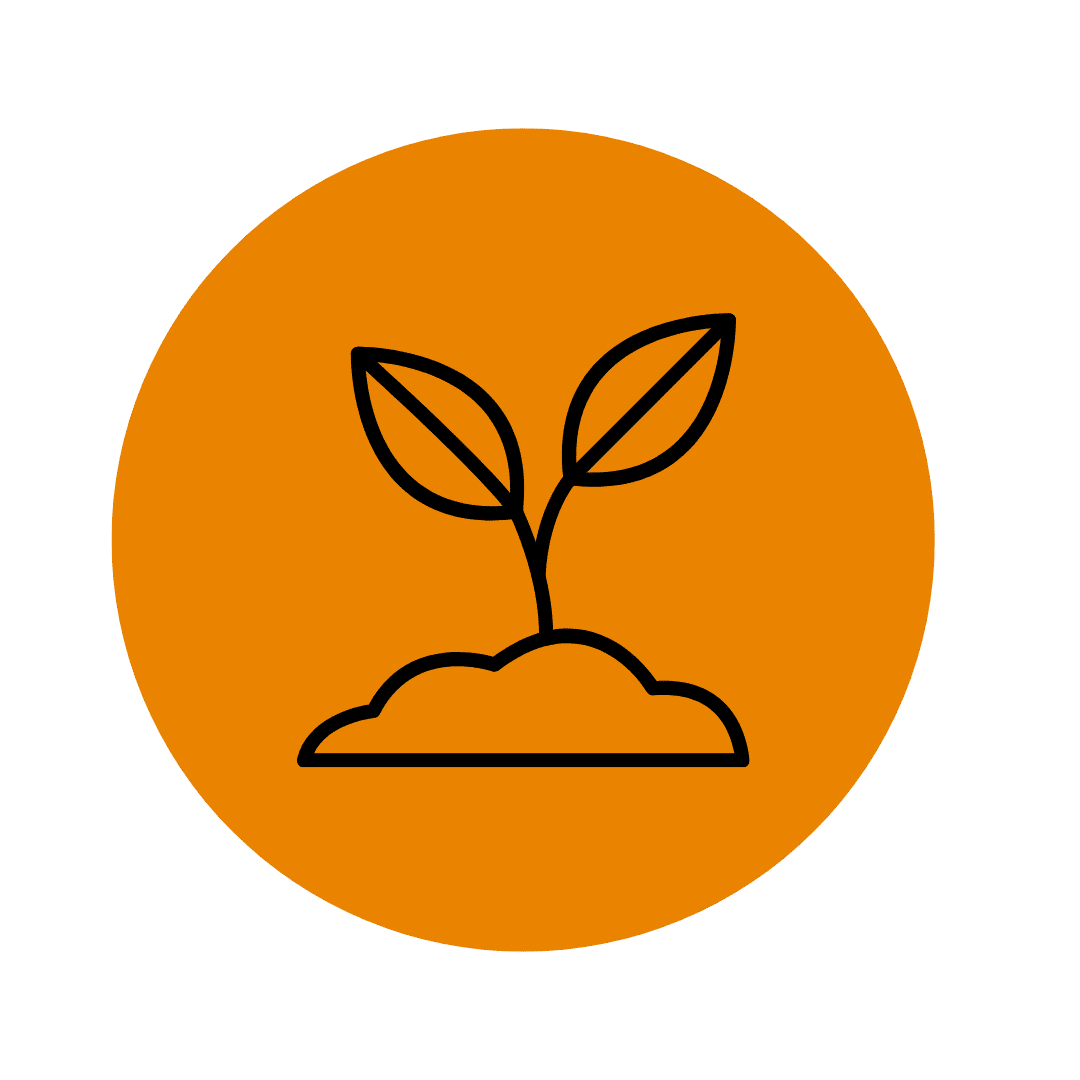 planta