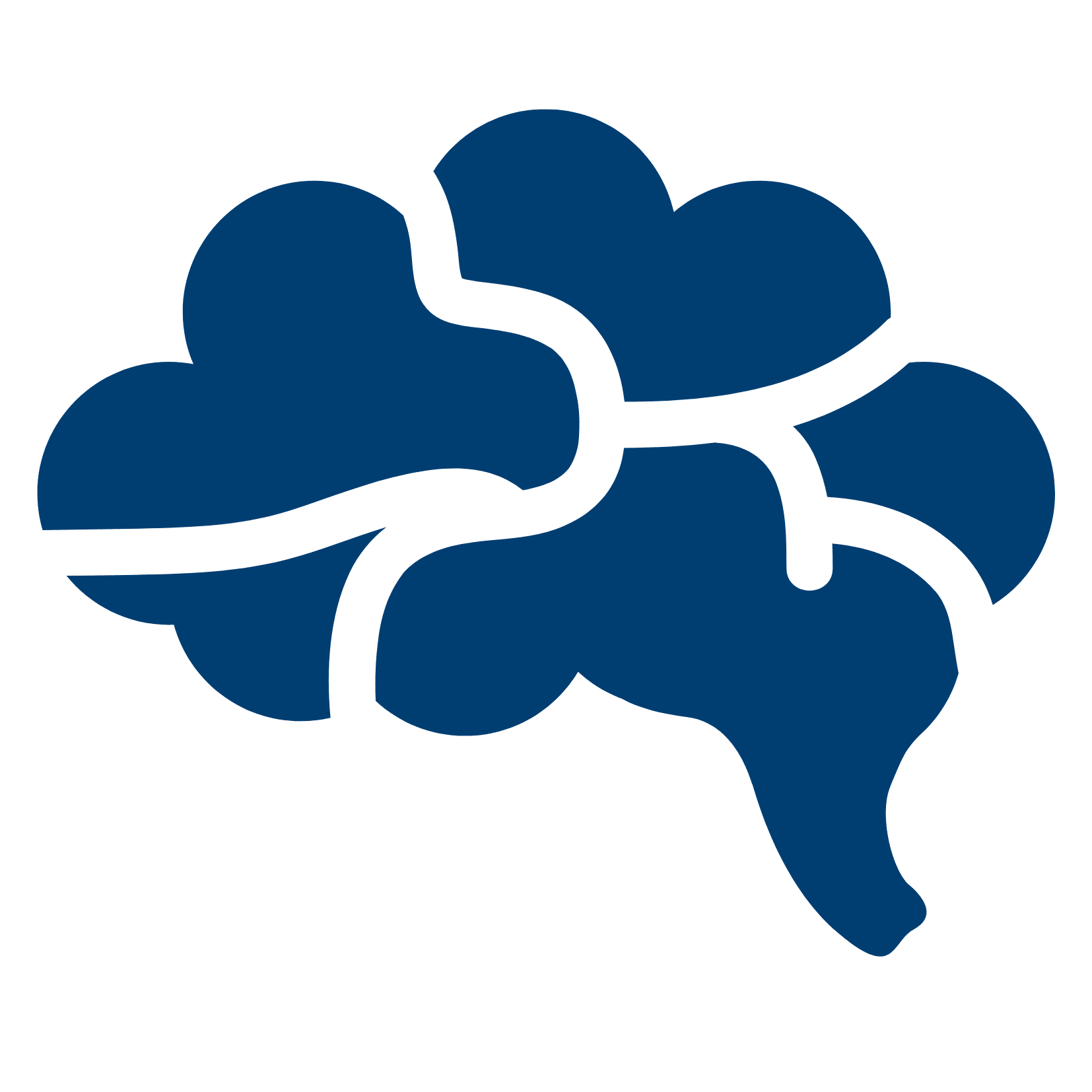 Brain