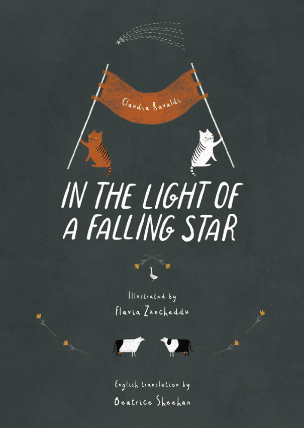 In the light of a falling star copertina