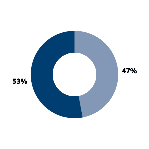 Gráfico de anillo con dos secciones (47% y 53%)