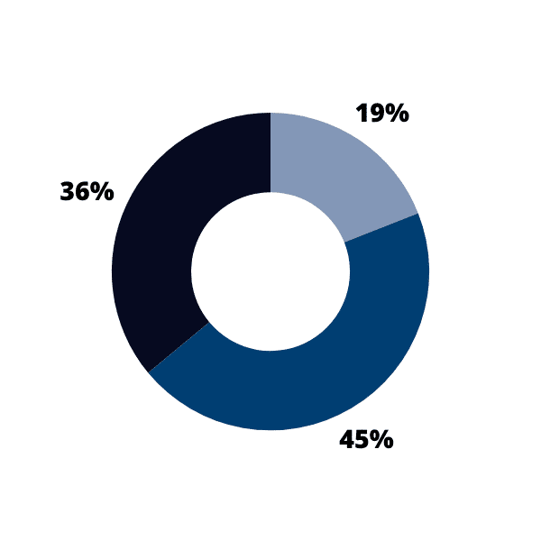 Gráfico de anillo con tres secciones (19%, 36% y 45%)