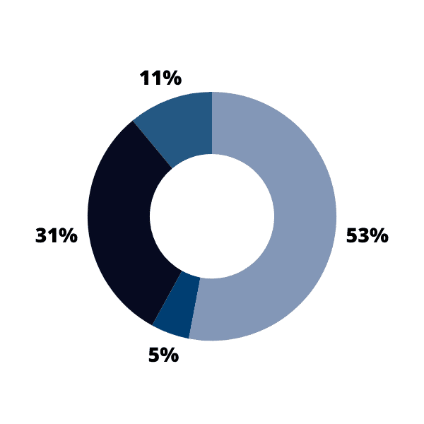 Gráfico de anillo con cuatro secciones (5%, 11%, 31% y 53%)