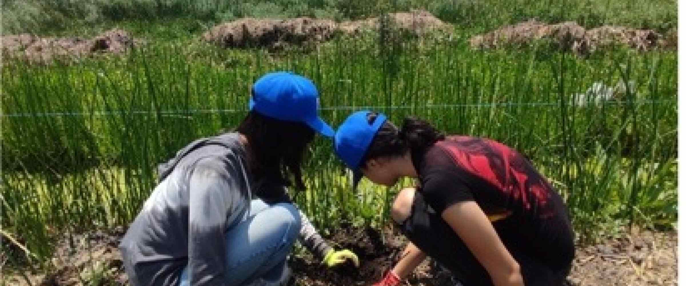 Proyecto Solidario en pro de los ODS 13. Acción por el clima y 15. Vida de ecosistemas terrestres.