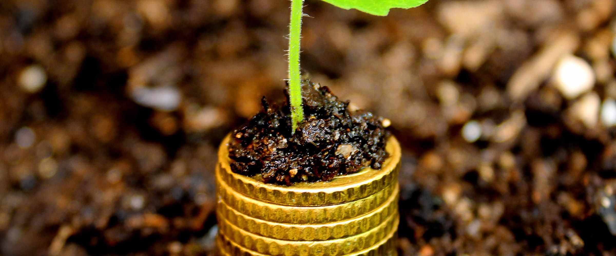 Social investment