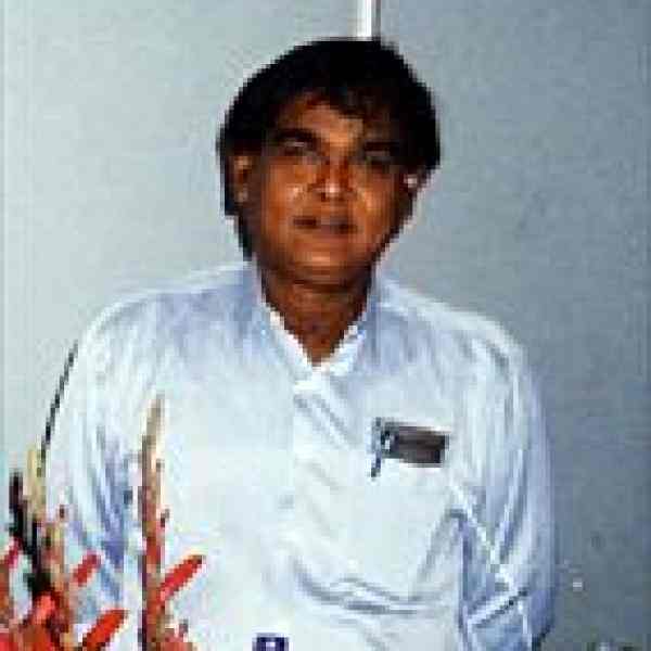 Raghunath Manwar