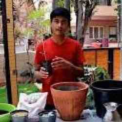 Arya Pudota