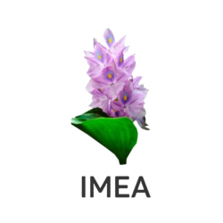 Logo do IMEA, uma flor de mureru com o escrito "IMEA" logo abaixo