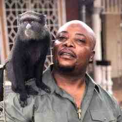Picture of Fellow Adams Cassinga. He is a black man wearing a green shirt with a small black monkey sitting on his shoulder.