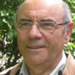 Arnold Noyek