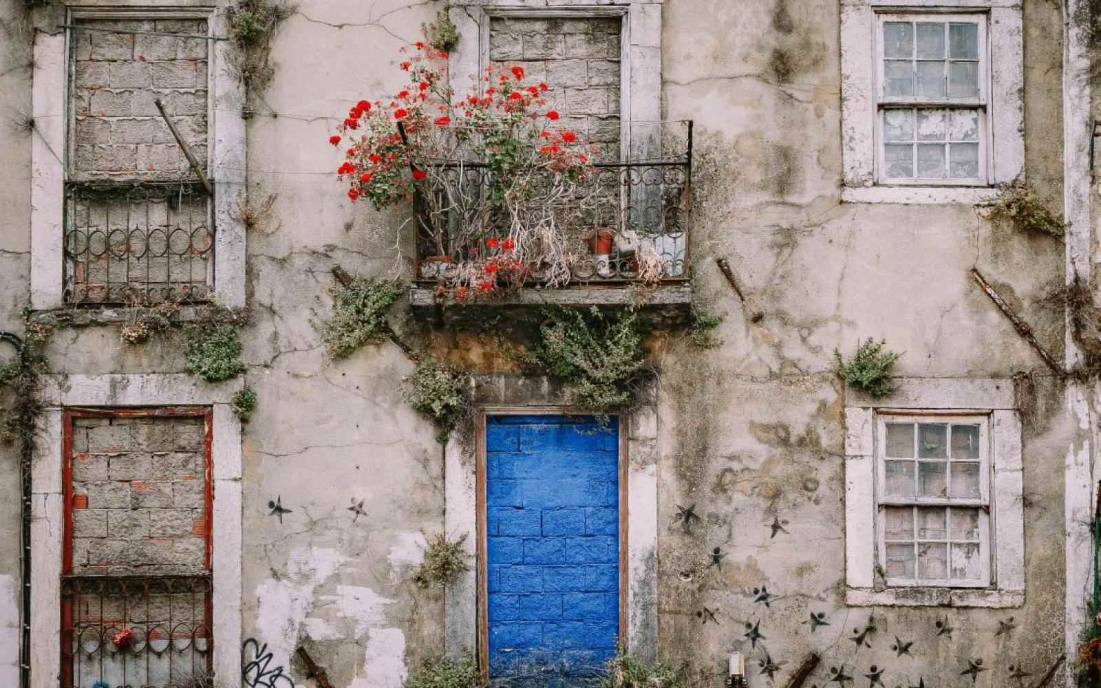 Zdjęcie ściany starego budynku. Miejsce na drzwi jest zamurowane pomalowanymi na niebiesko cegłami. Na balkonie na drzwiami roślina o czerwonych kwiatach.