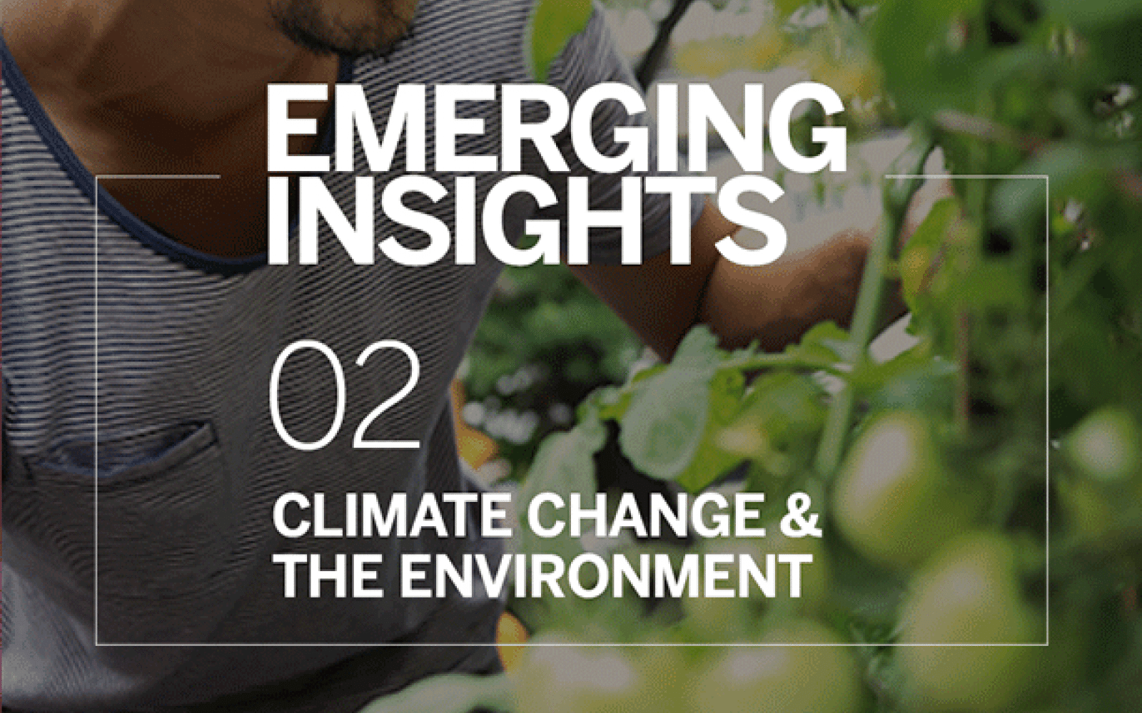 Na tle zielonego krzaku napis "Emerging insights. 02 - Climate change and the environment".