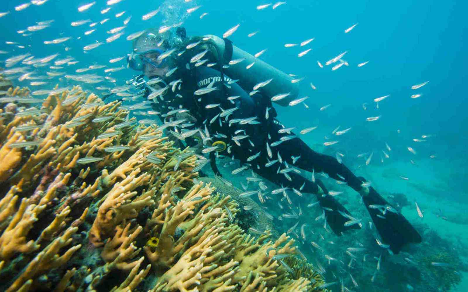 Foto Turismo Sustentável Abrolhos