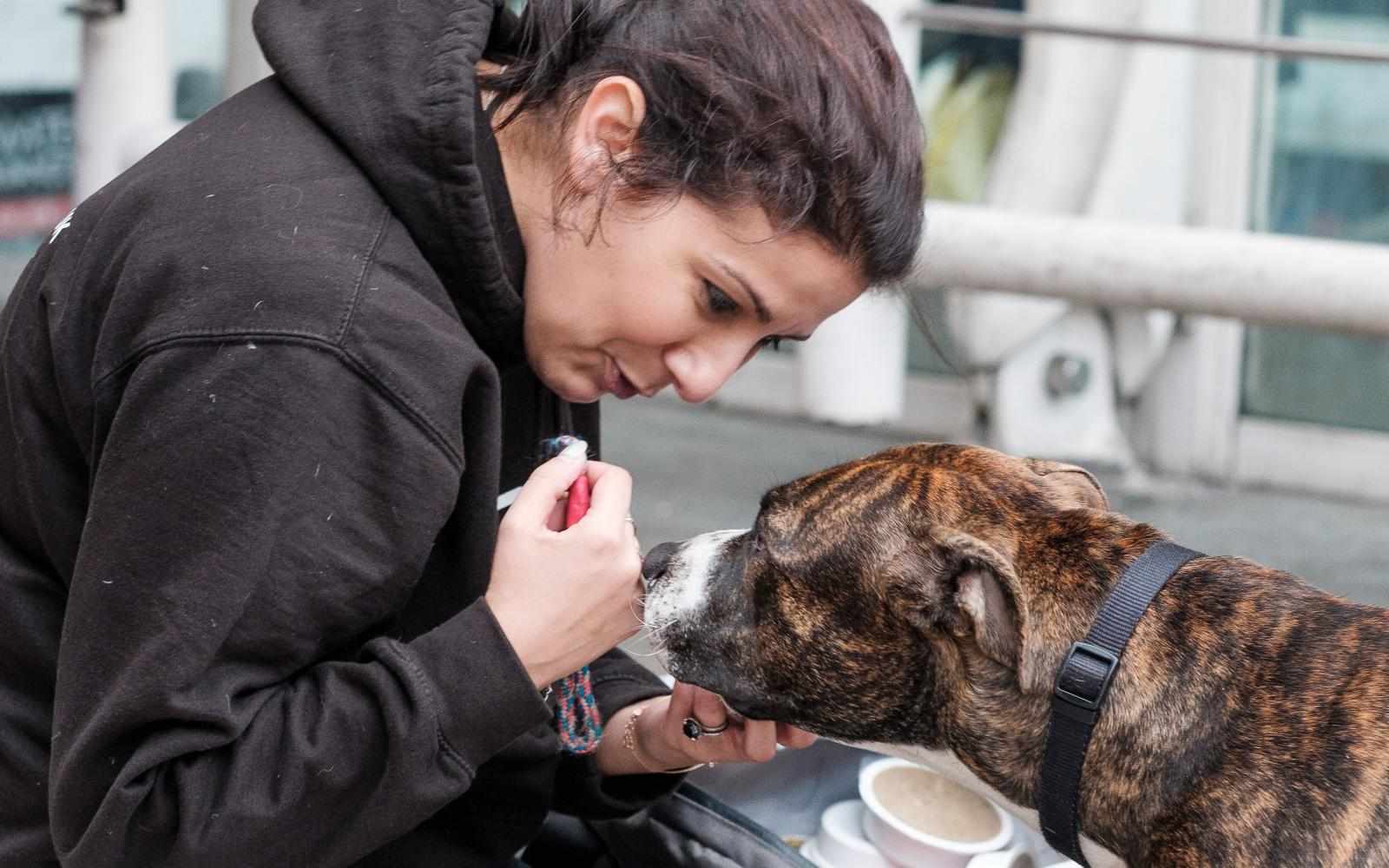 Street Vet founder Jade Statt cares for a homeless person's dog