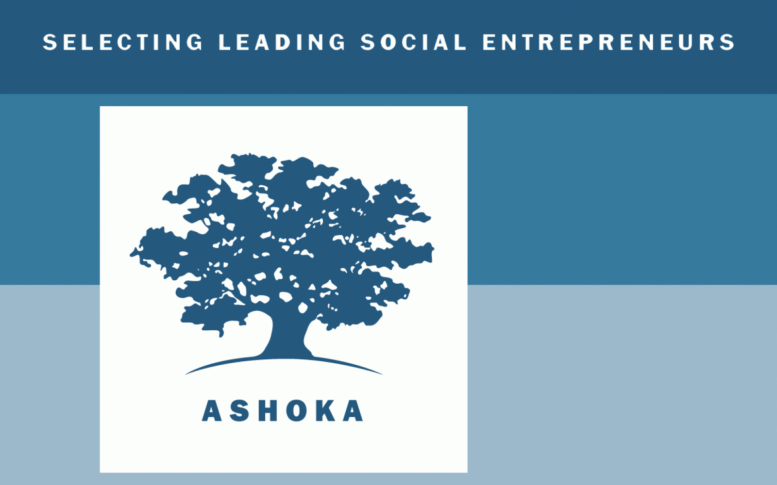 selecting social entrepreneurs