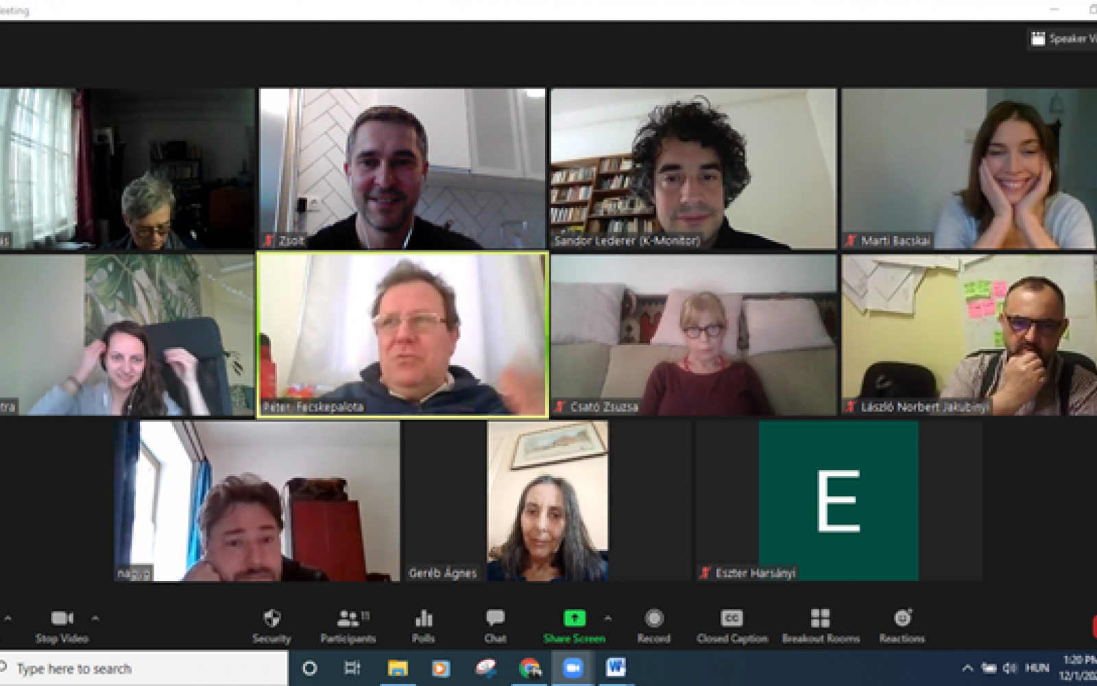 lederer sandor hungarian fellow meeting online