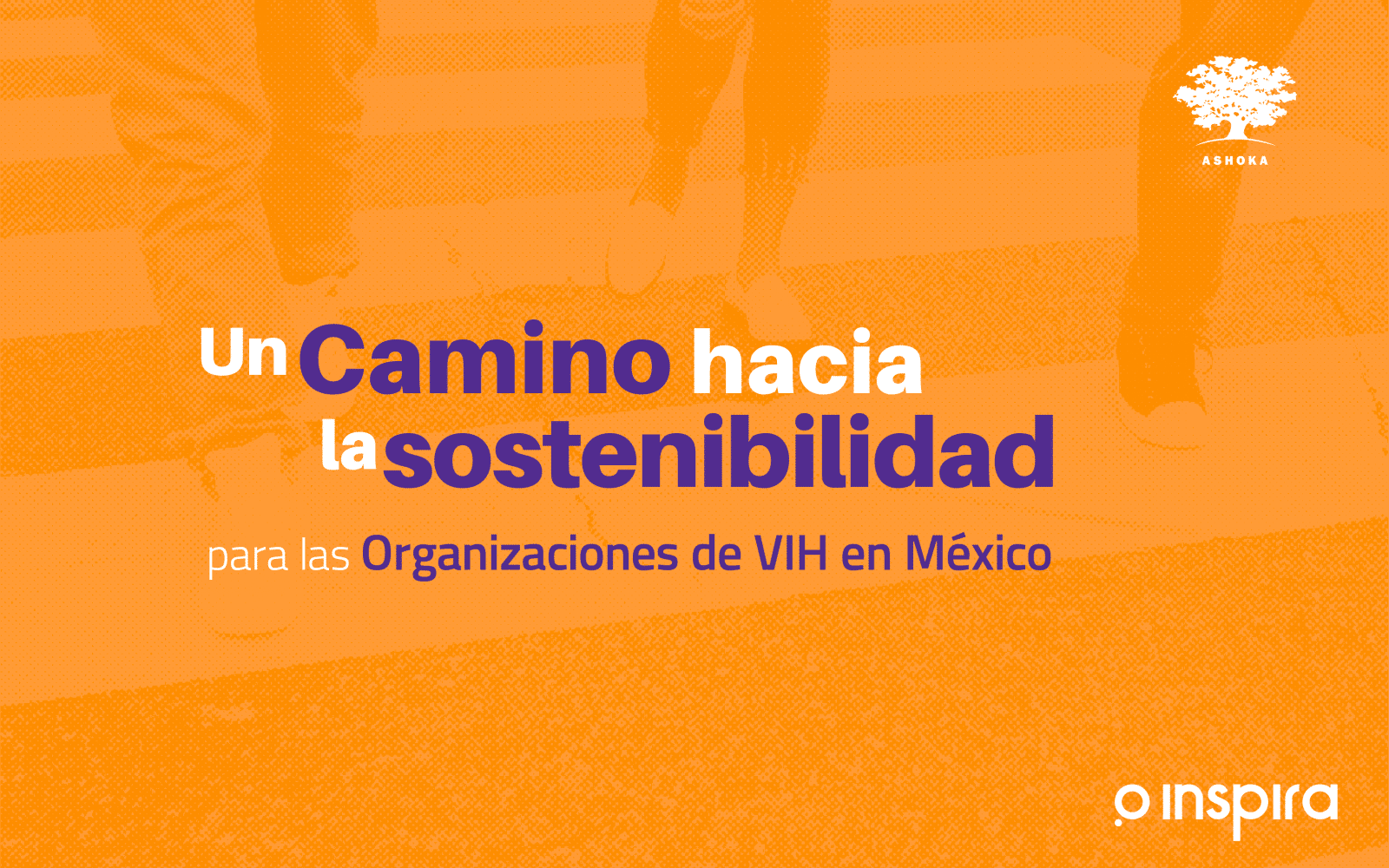 Un camino hacia la sostenibilidad