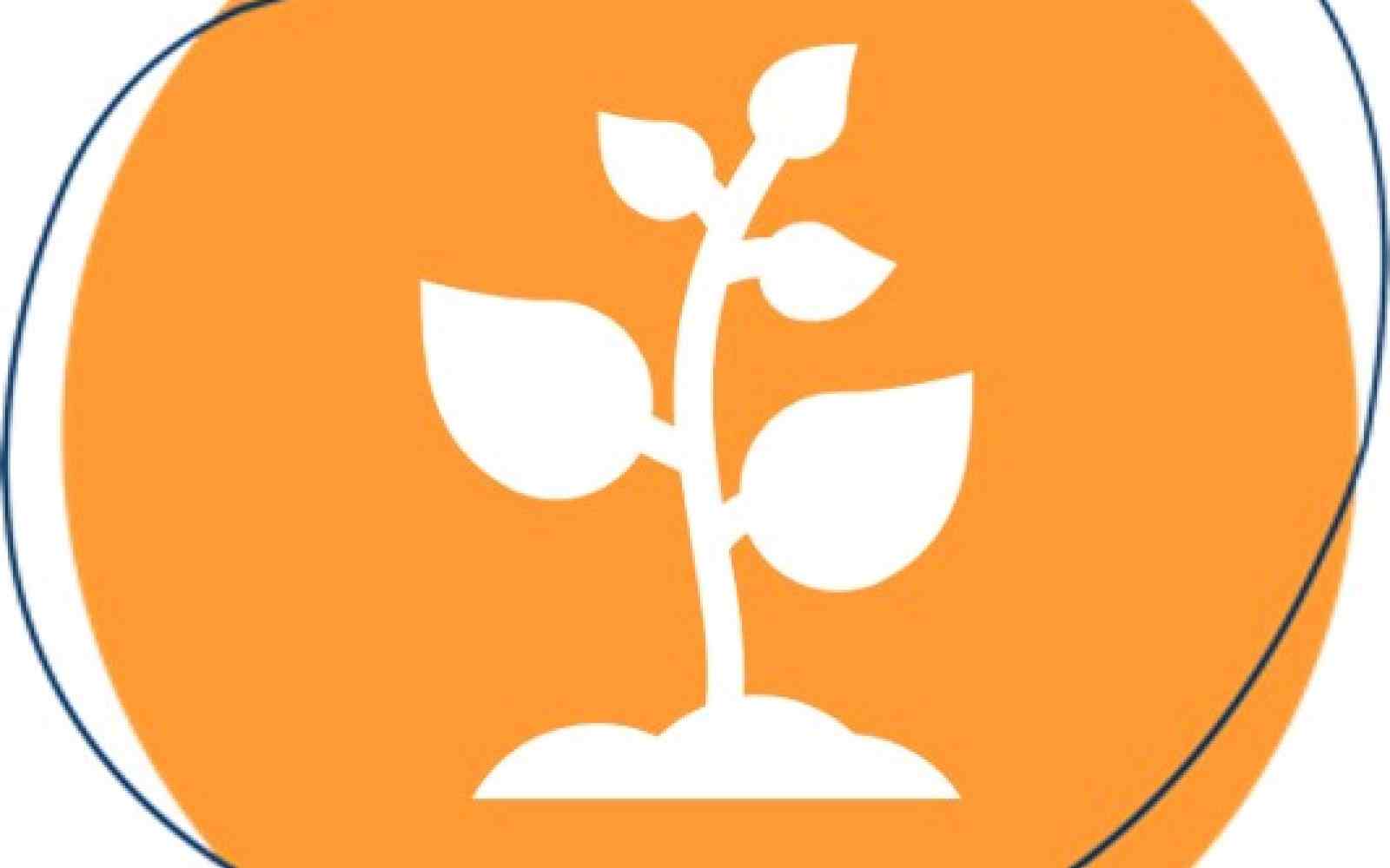 Icon - Symbol Growth
