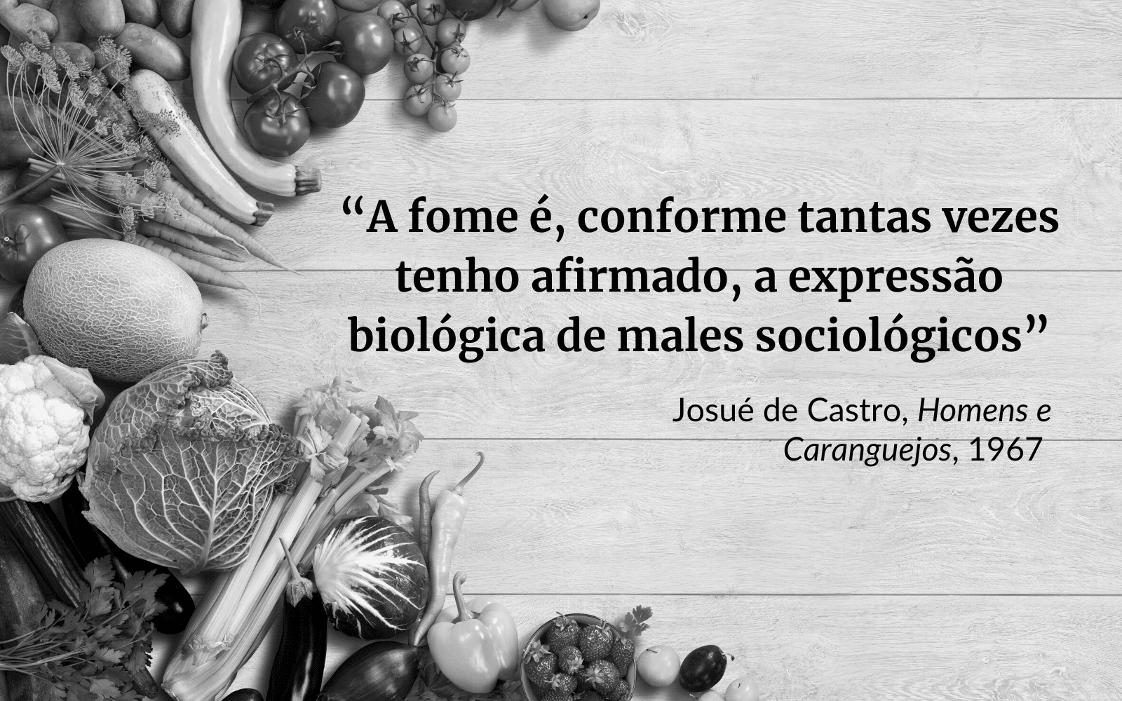 Foto em preto e branco. No canto, há frutas, verduras e legumes. Ao lado, uma frase com os dizeres: "A fome é, conforme tantas vezes tenho afirmado, a expressão biológica de males sociológicos", frase de Josué de Castro, Homens e Caranguejos, 1967