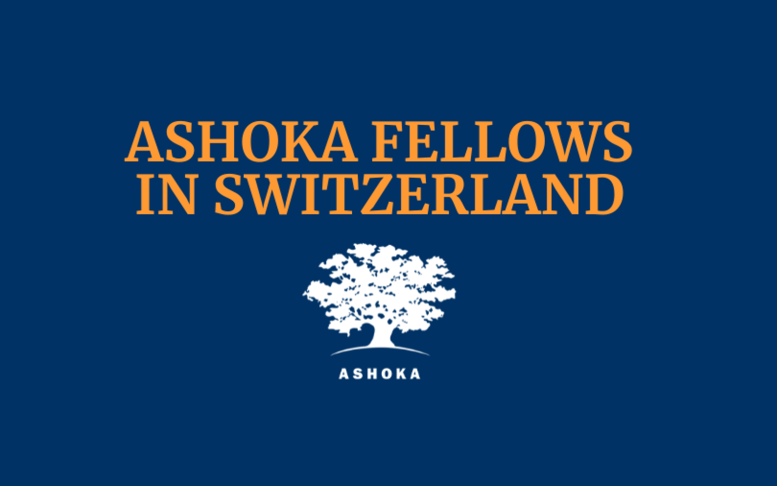 Fellows in Switzerland 